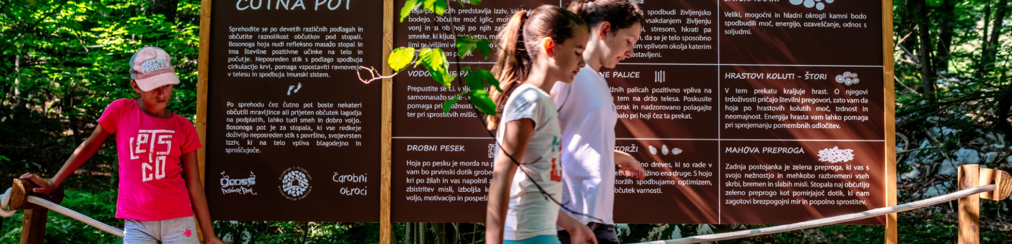 Gozdno čutno razvajanje